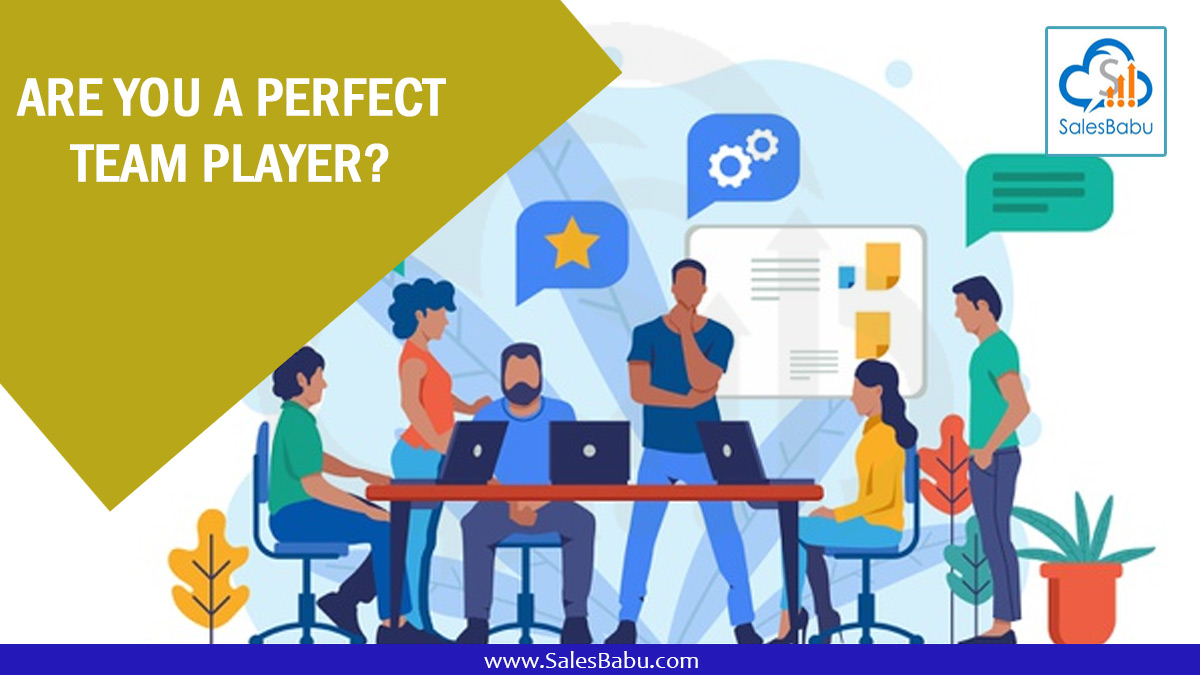 Are You A Perfect Team Player? | SalesBabu CRM